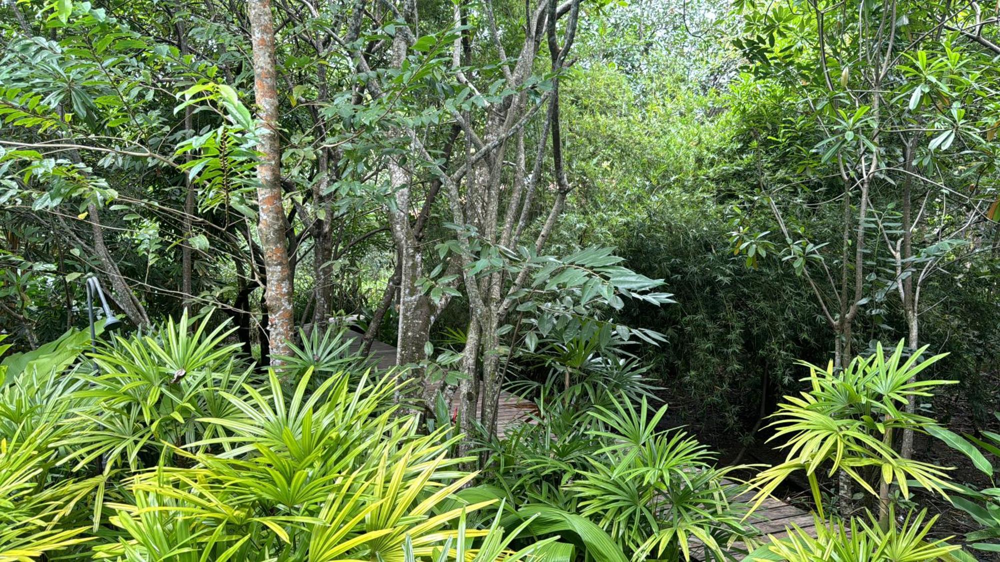 Ginganga Lodge Galle Exteriör bild