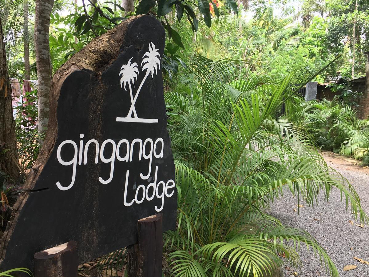 Ginganga Lodge Galle Exteriör bild